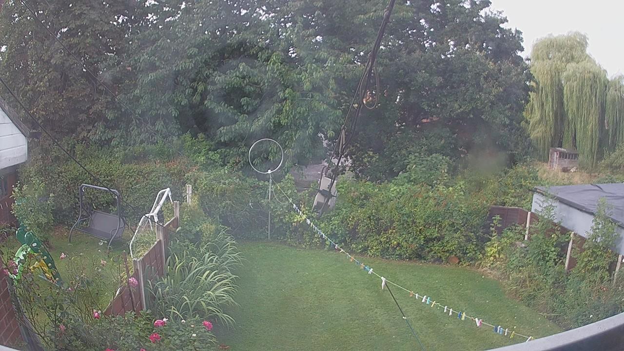 20260822_081803_cam1.jpg
