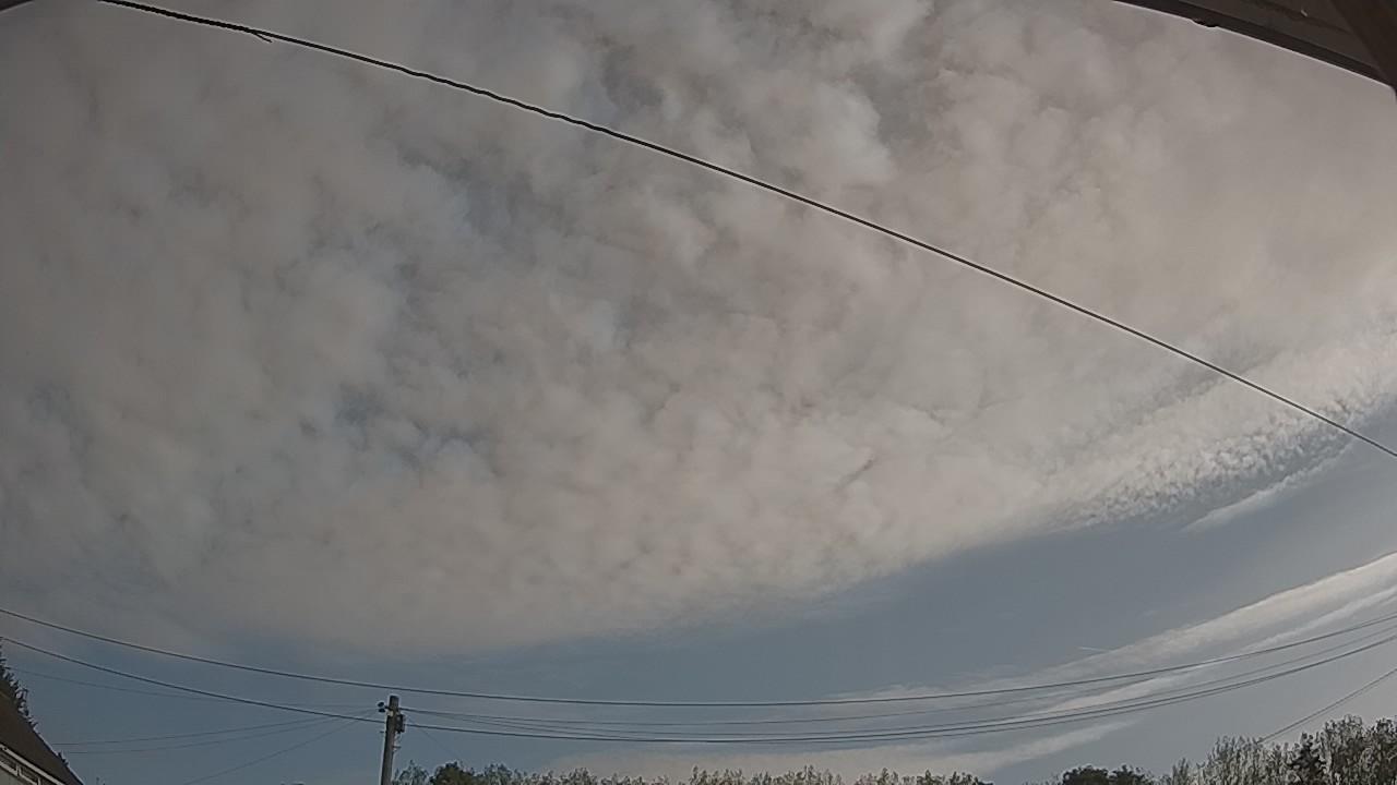 20260822_081804_cam2.jpg