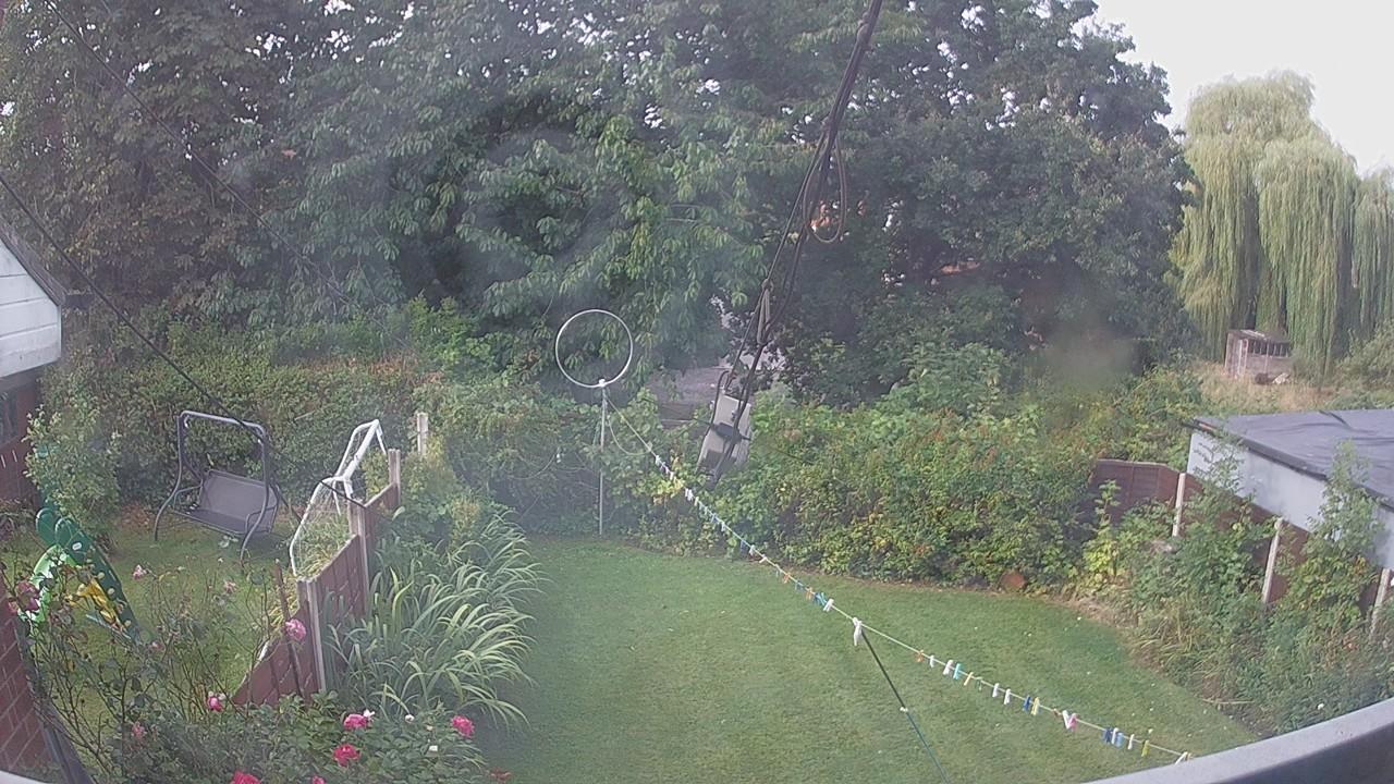 20260822_082249_cam1.jpg