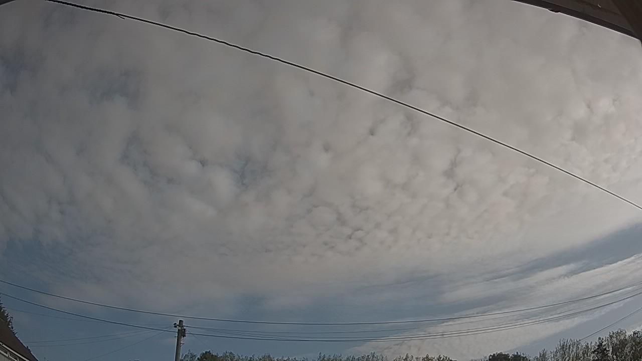 20260822_082250_cam2.jpg