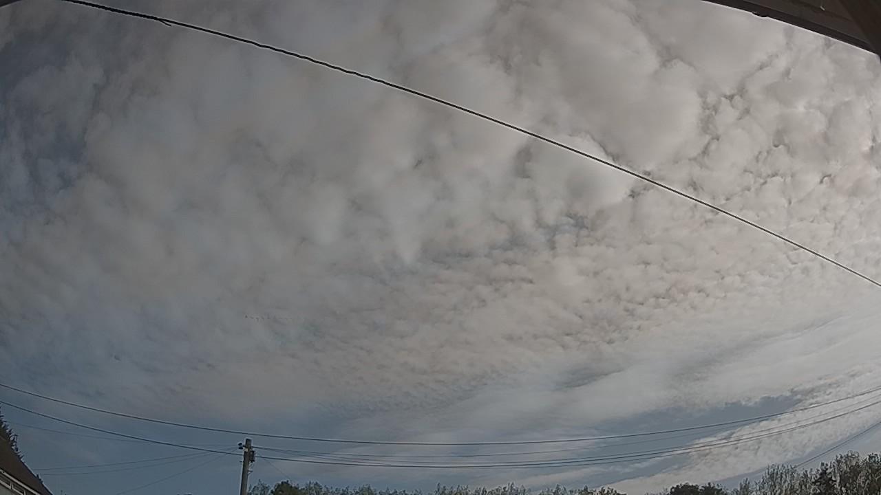20260822_082735_cam2.jpg