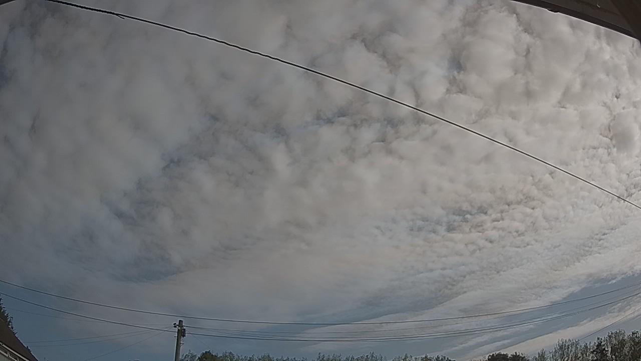 20260822_083202_cam2.jpg