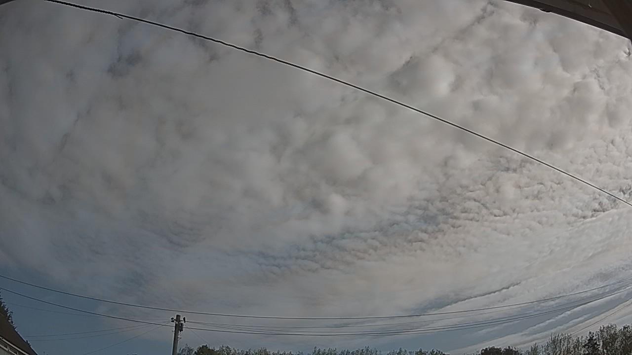 20260822_083629_cam2.jpg