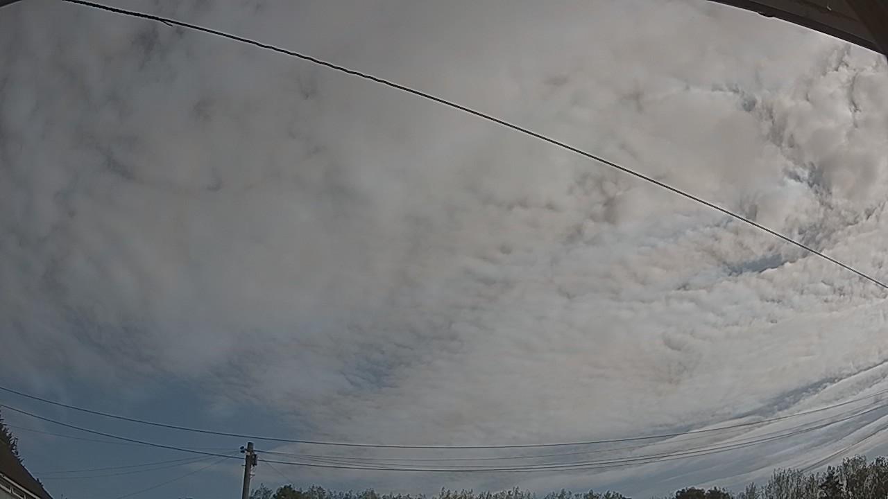 20260822_084055_cam2.jpg