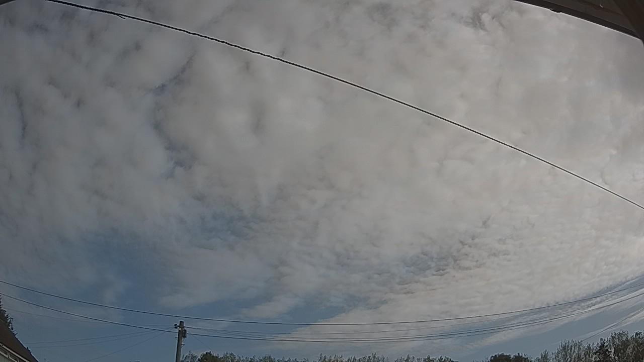 20260822_084521_cam2.jpg