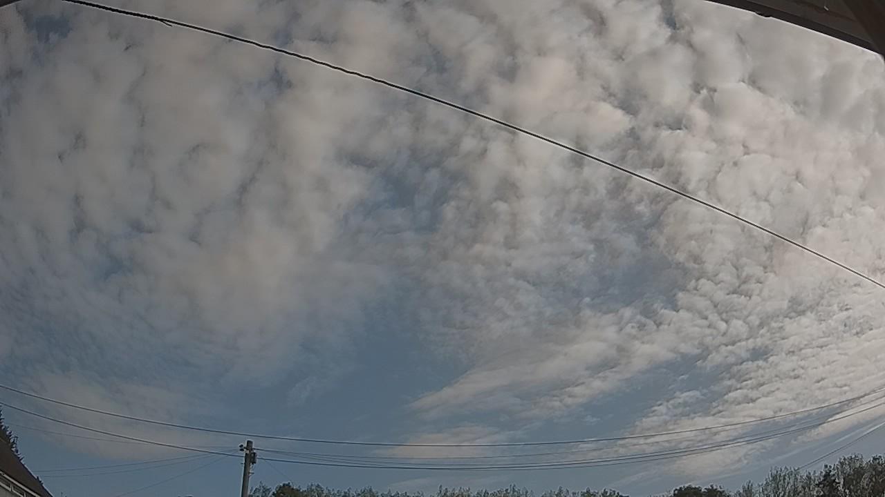 20260822_084948_cam2.jpg