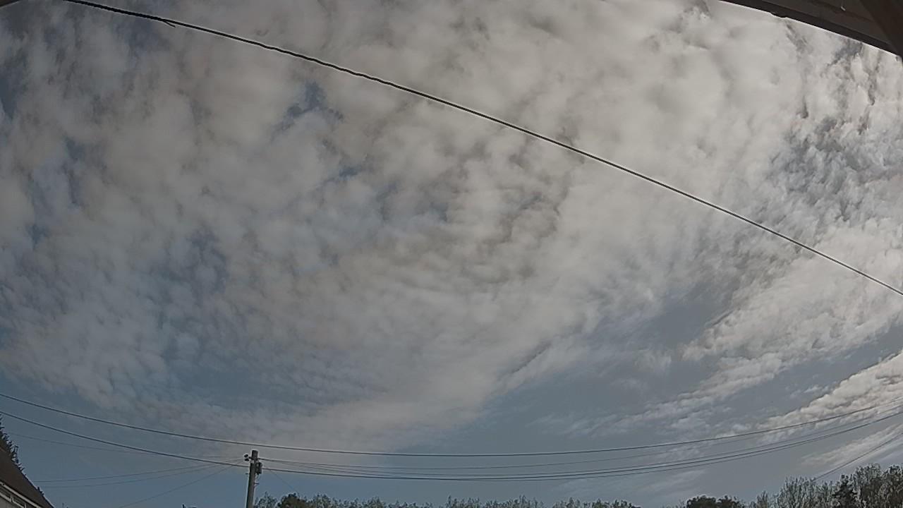 20260822_085414_cam2.jpg