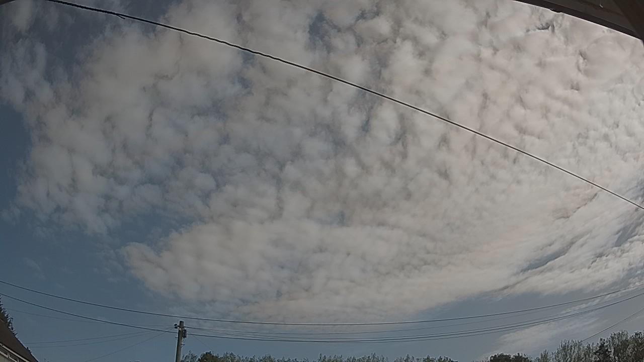 20260822_085841_cam2.jpg