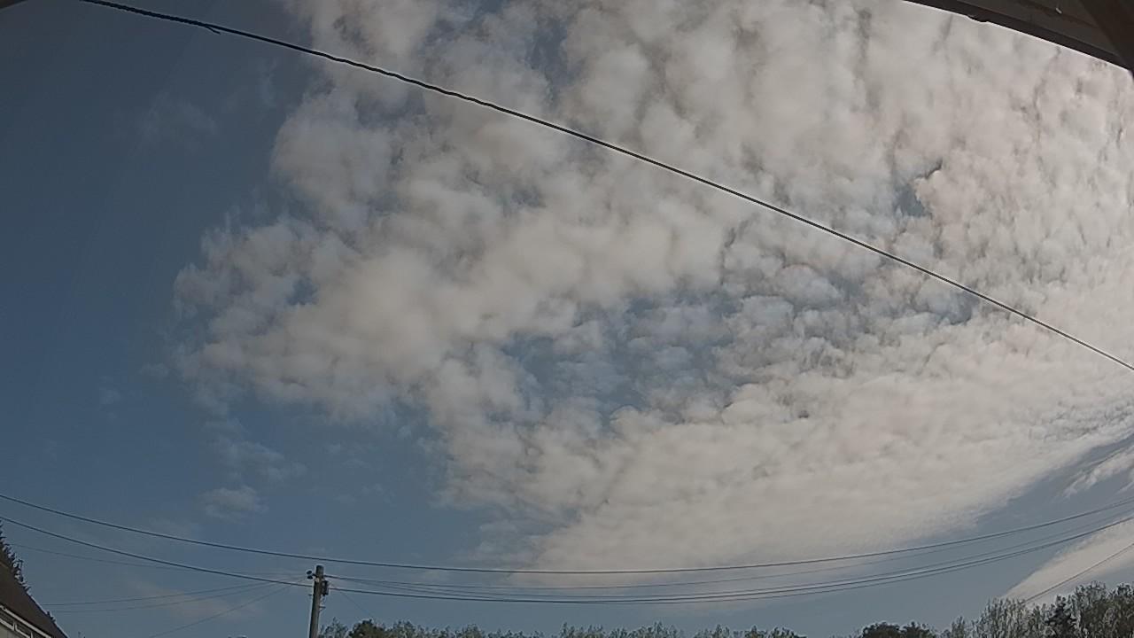 20260822_090250_cam2.jpg