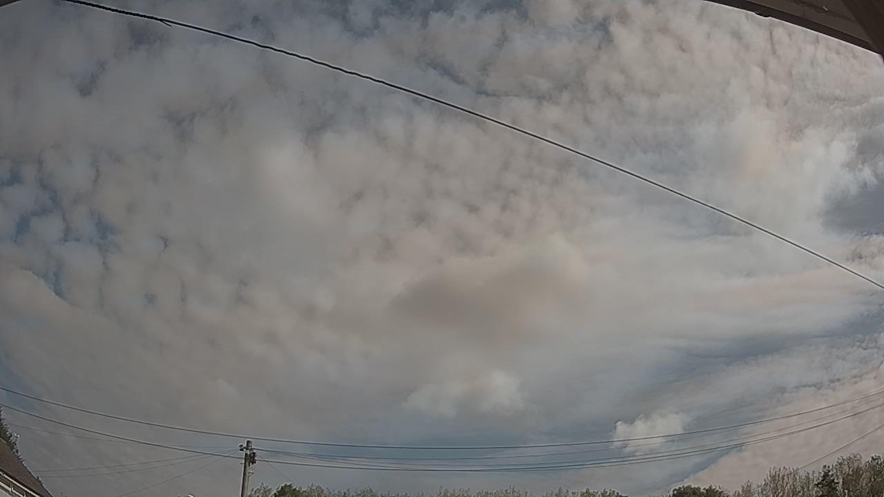 20260822_094012_cam2.jpg