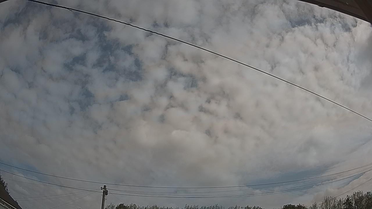 20260822_094420_cam2.jpg
