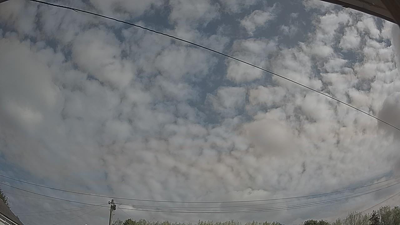 20260822_094828_cam2.jpg