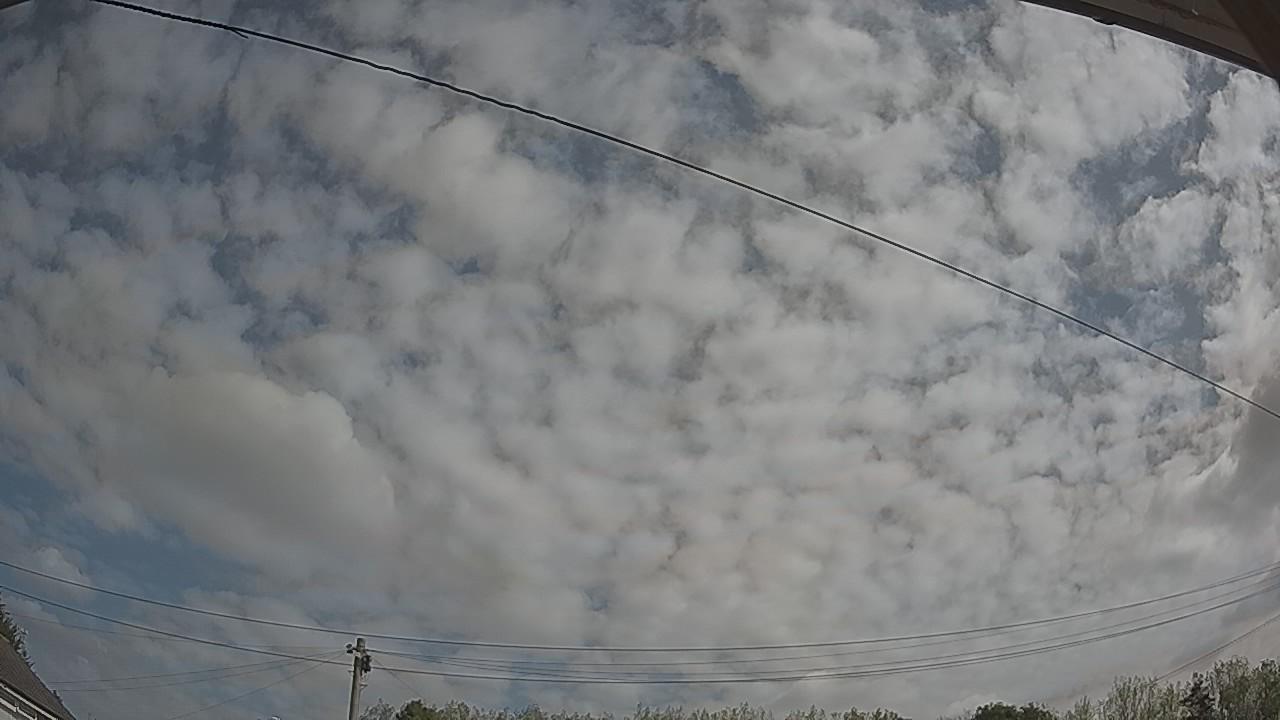 20260822_095237_cam2.jpg