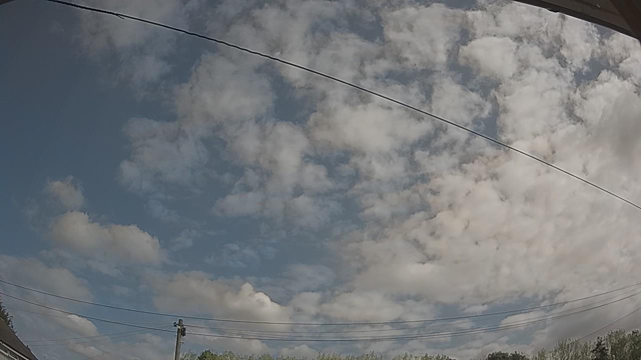 20260822_100113_cam2.jpg