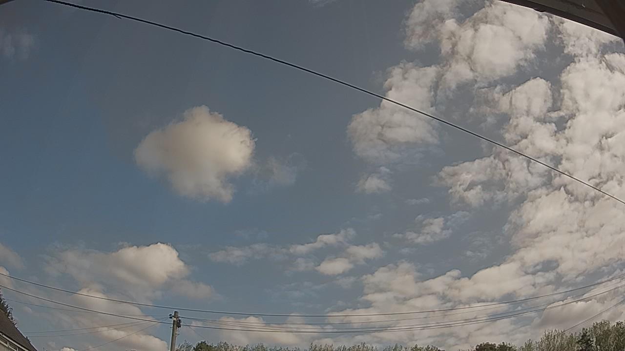 20260822_100540_cam2.jpg