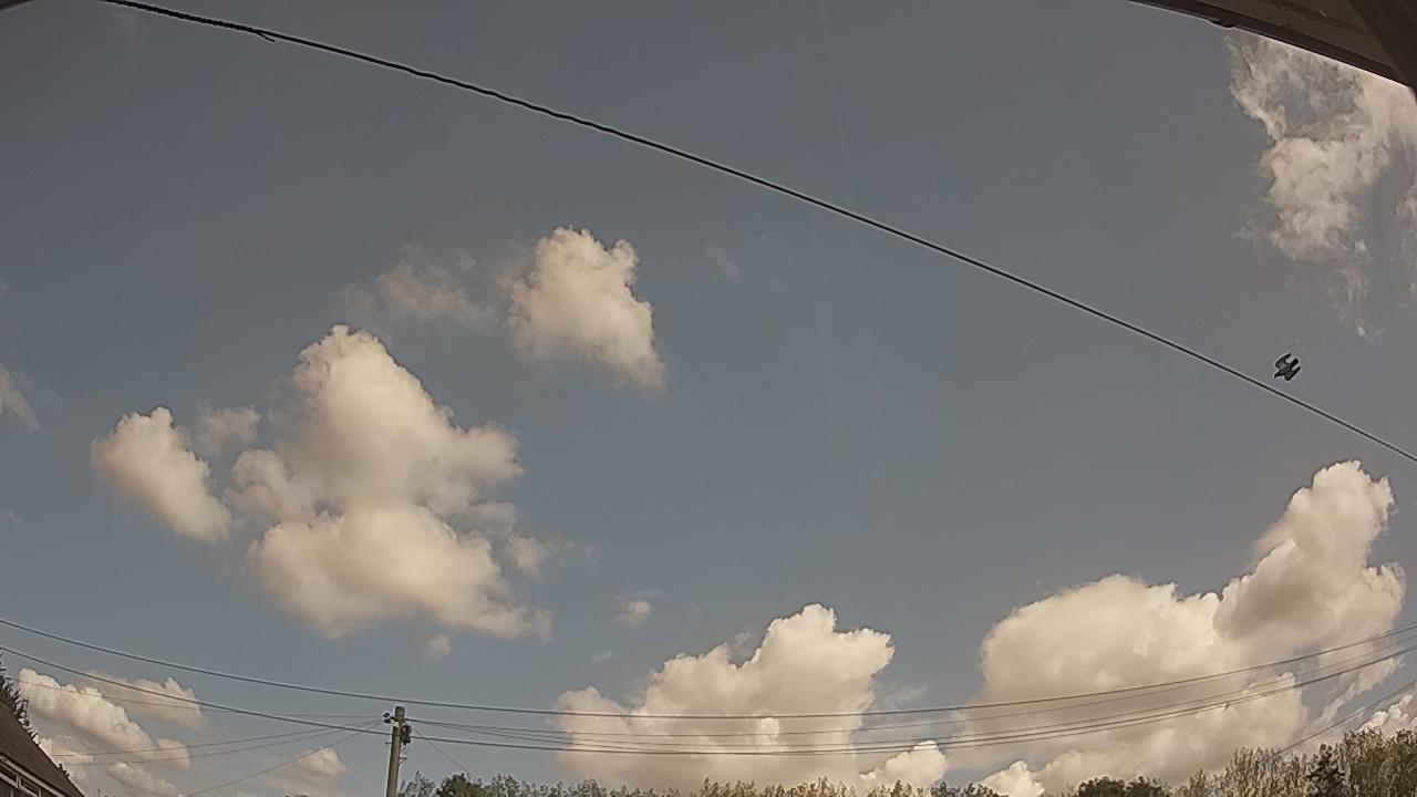 20260822_105705_cam2.jpg