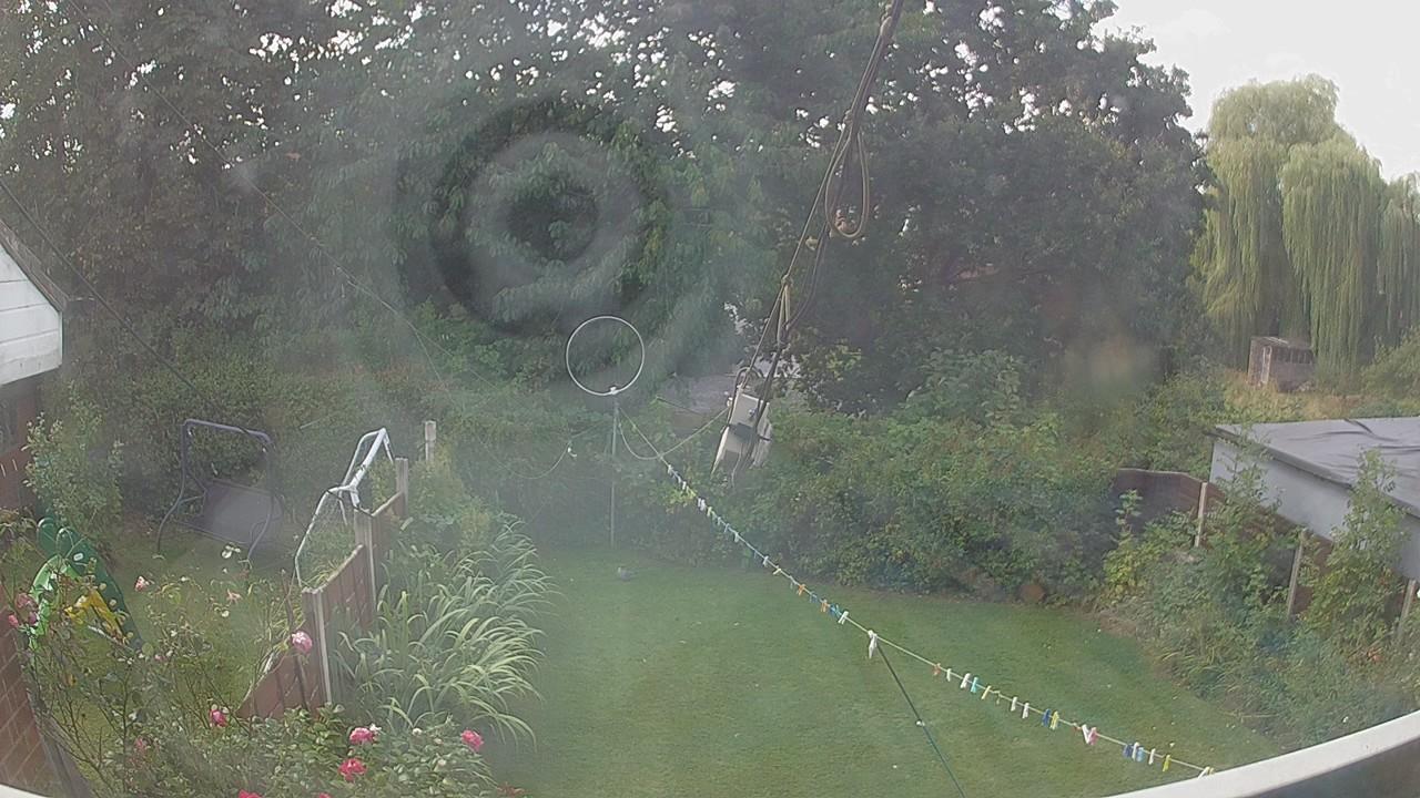 20260822_110123_cam1.jpg