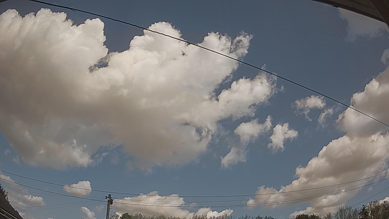 20260822_113607_cam2.jpg