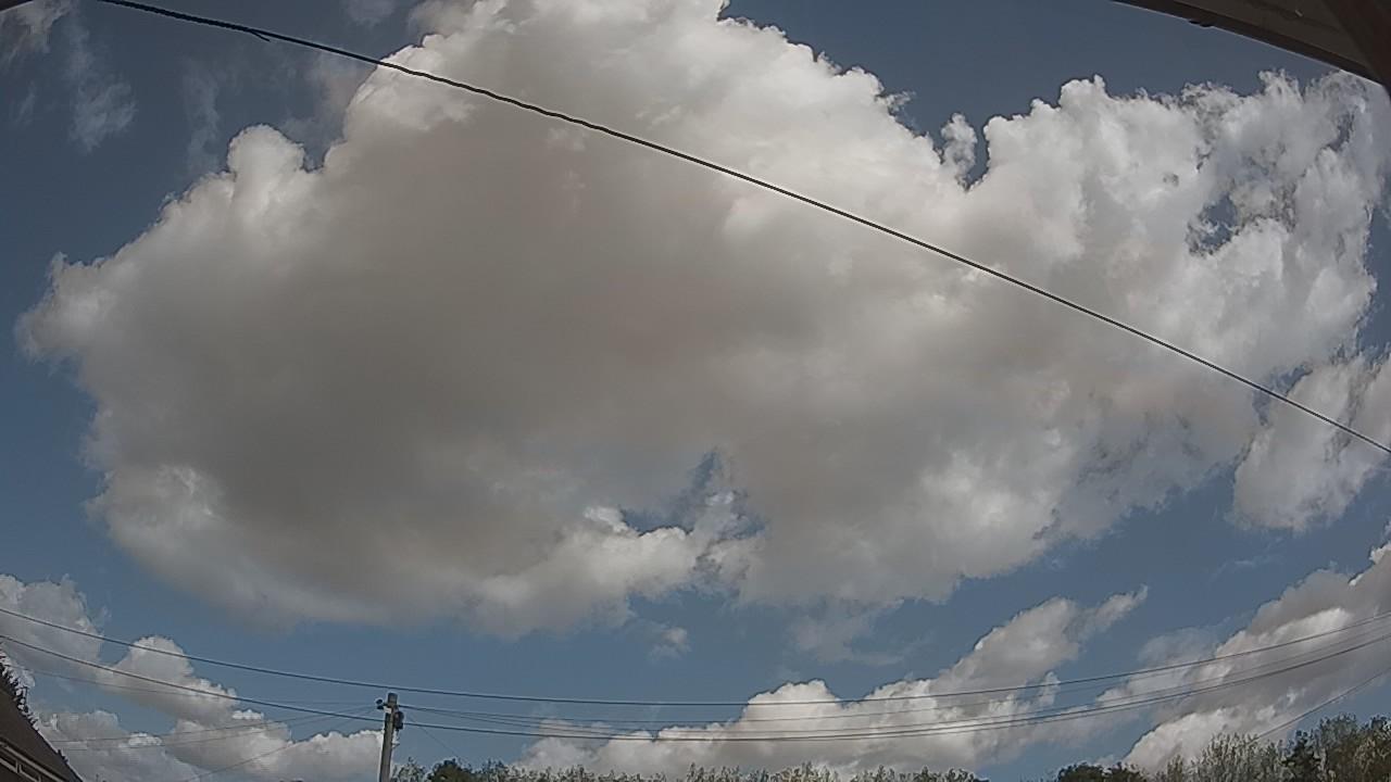 20260822_114500_cam2.jpg