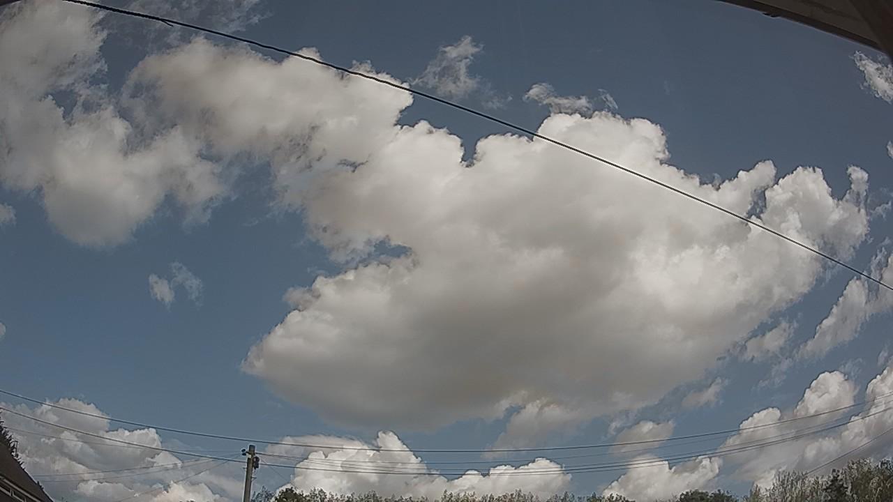 20260822_115354_cam2.jpg