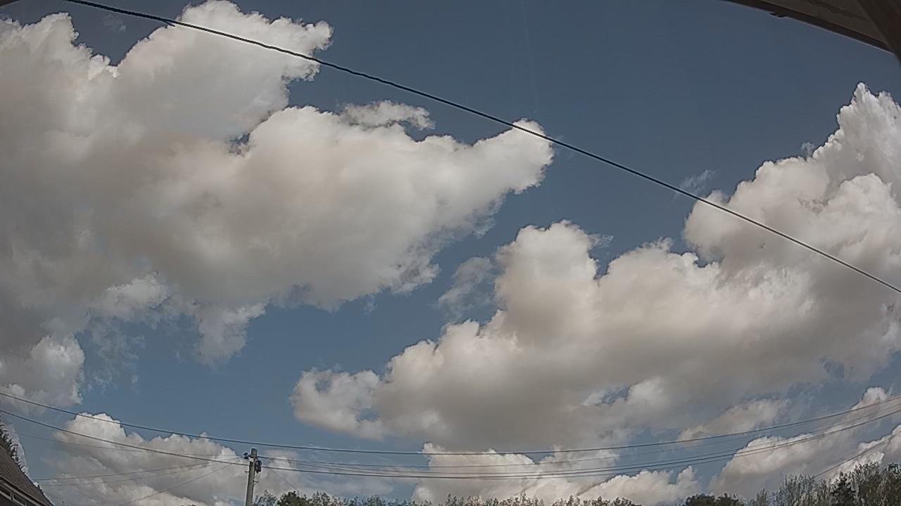 20260822_115821_cam2.jpg