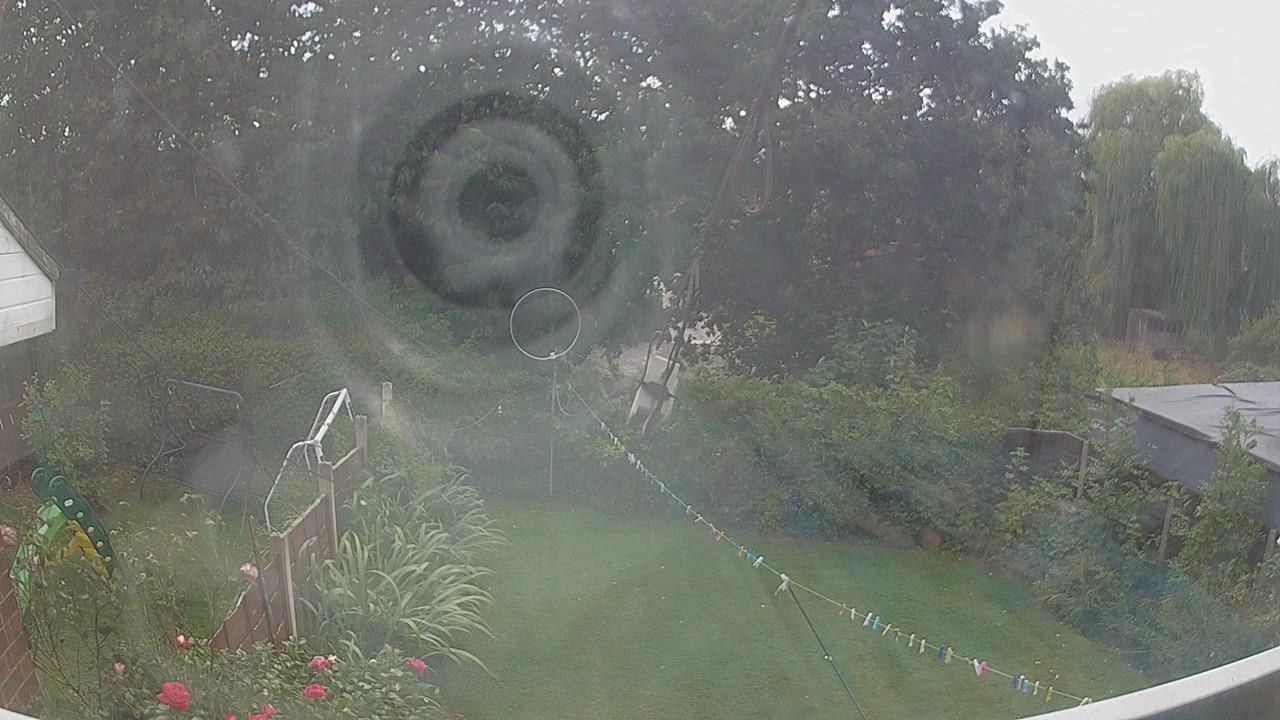 20260822_135117_cam1.jpg