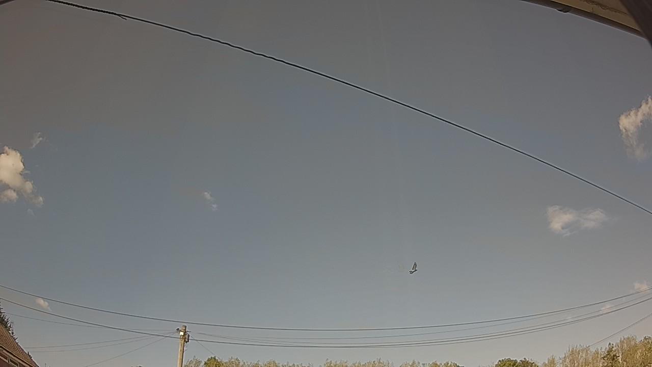 20260822_153213_cam2.jpg