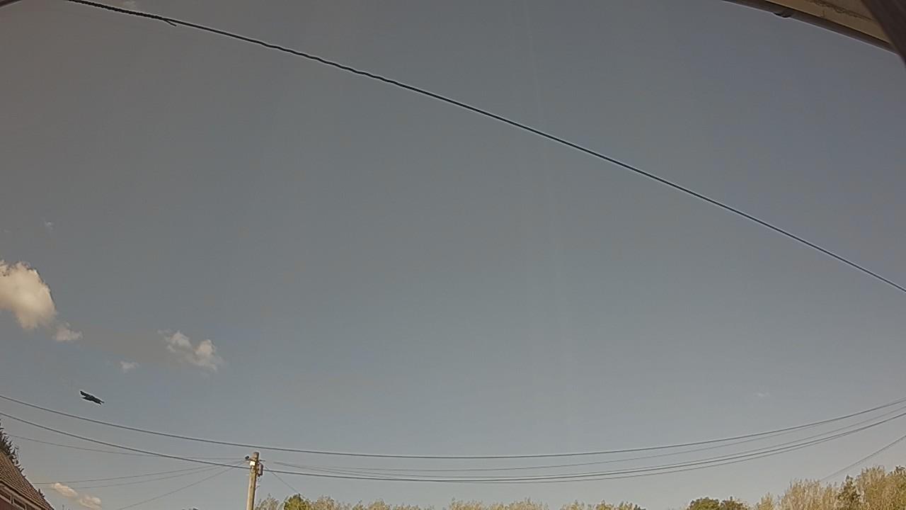 20260822_160334_cam2.jpg