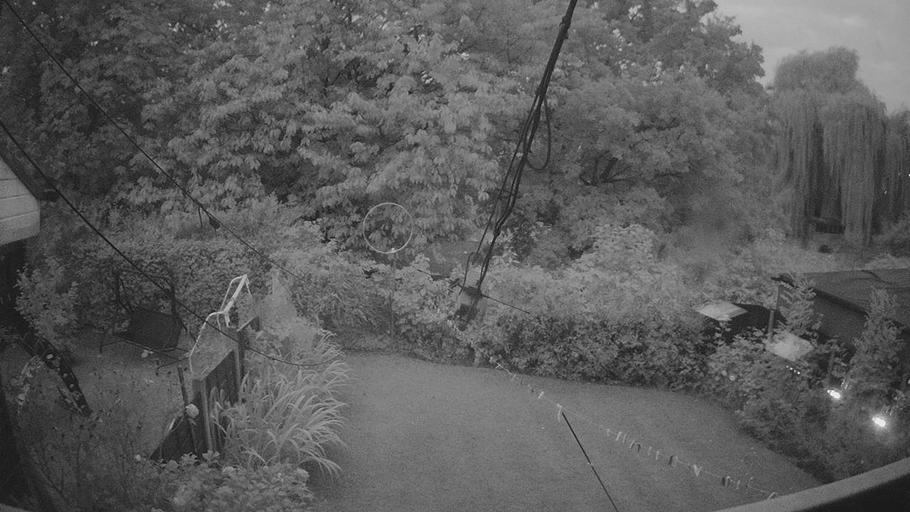 20260823_043052_cam1.jpg