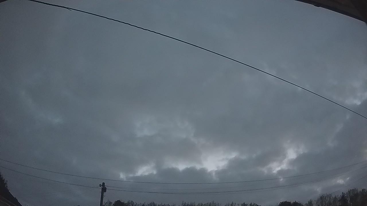 20260823_043053_cam2.jpg