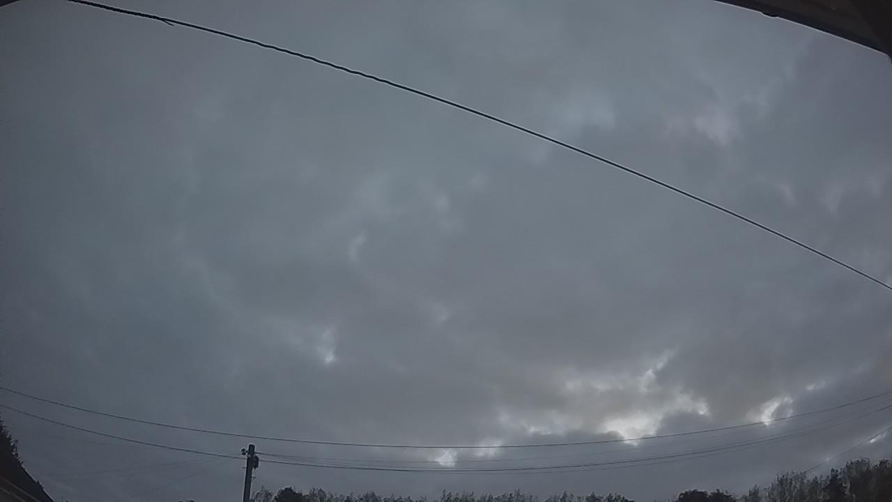 20260823_043528_cam2.jpg