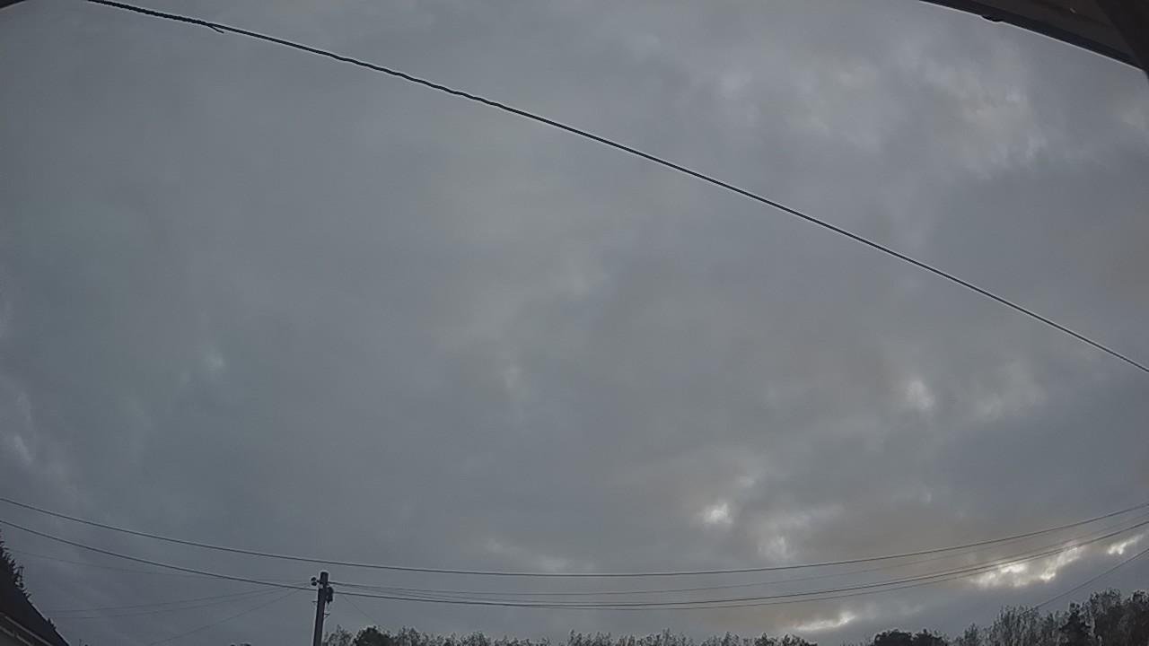 20260823_044440_cam2.jpg