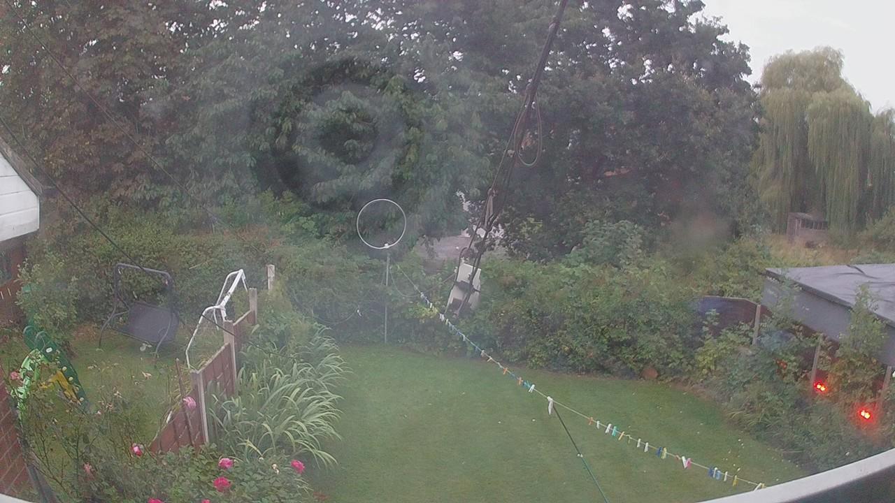 20260823_045350_cam1.jpg
