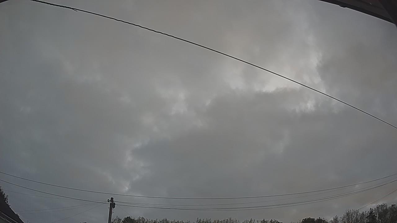 20260823_045351_cam2.jpg