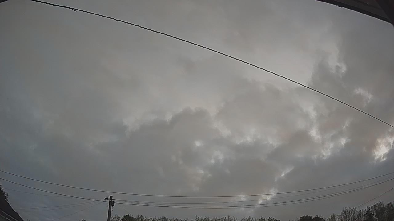 20260823_050303_cam2.jpg