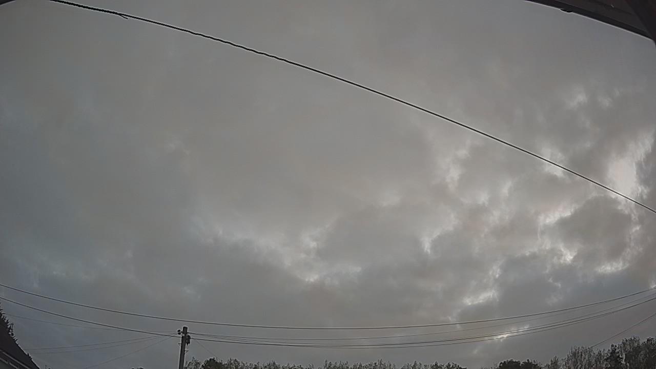 20260823_050739_cam2.jpg