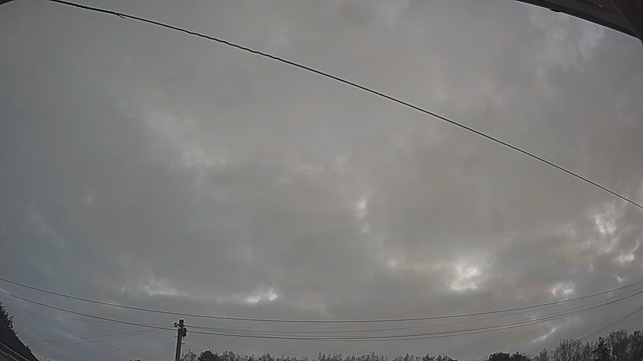 20260823_051215_cam2.jpg