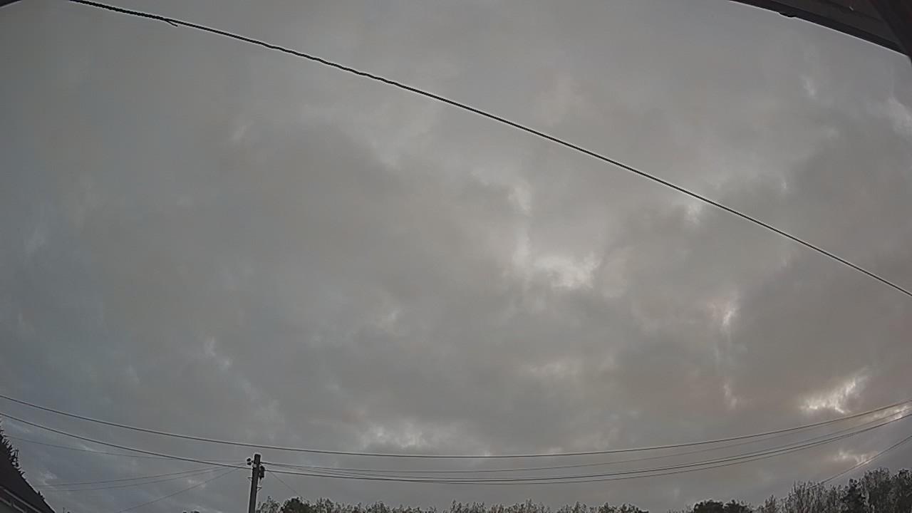 20260823_051651_cam2.jpg