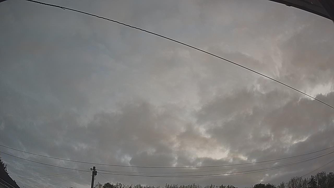 20260823_053050_cam2.jpg