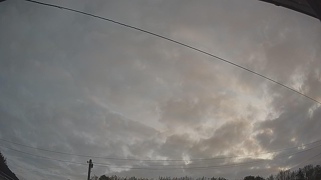 20260823_053535_cam2.jpg