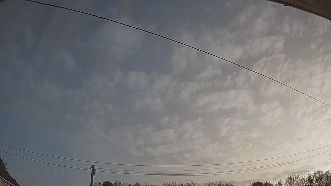 20260823_061258_cam2.jpg