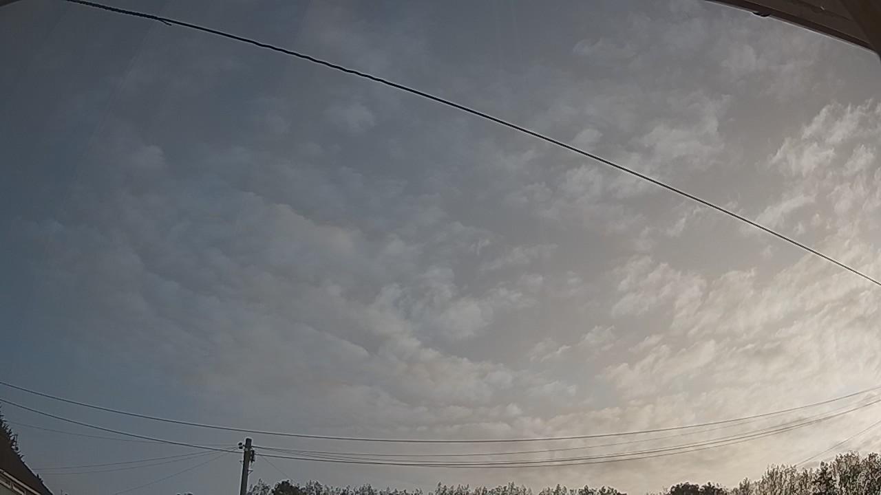 20260823_061733_cam2.jpg