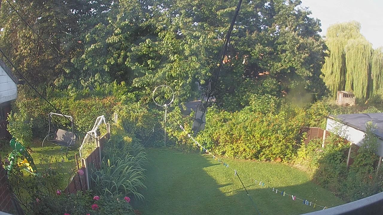 20260823_071714_cam1.jpg