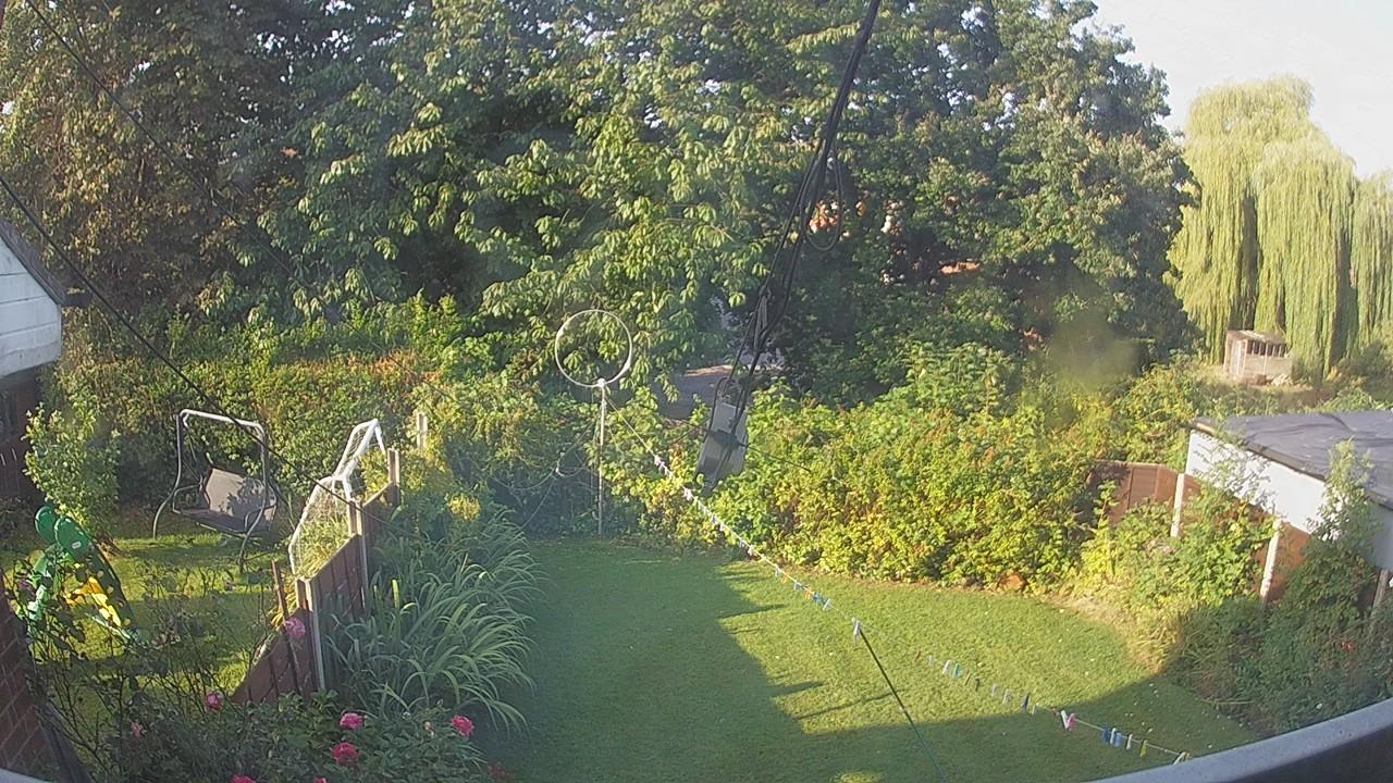 20260823_072627_cam1.jpg