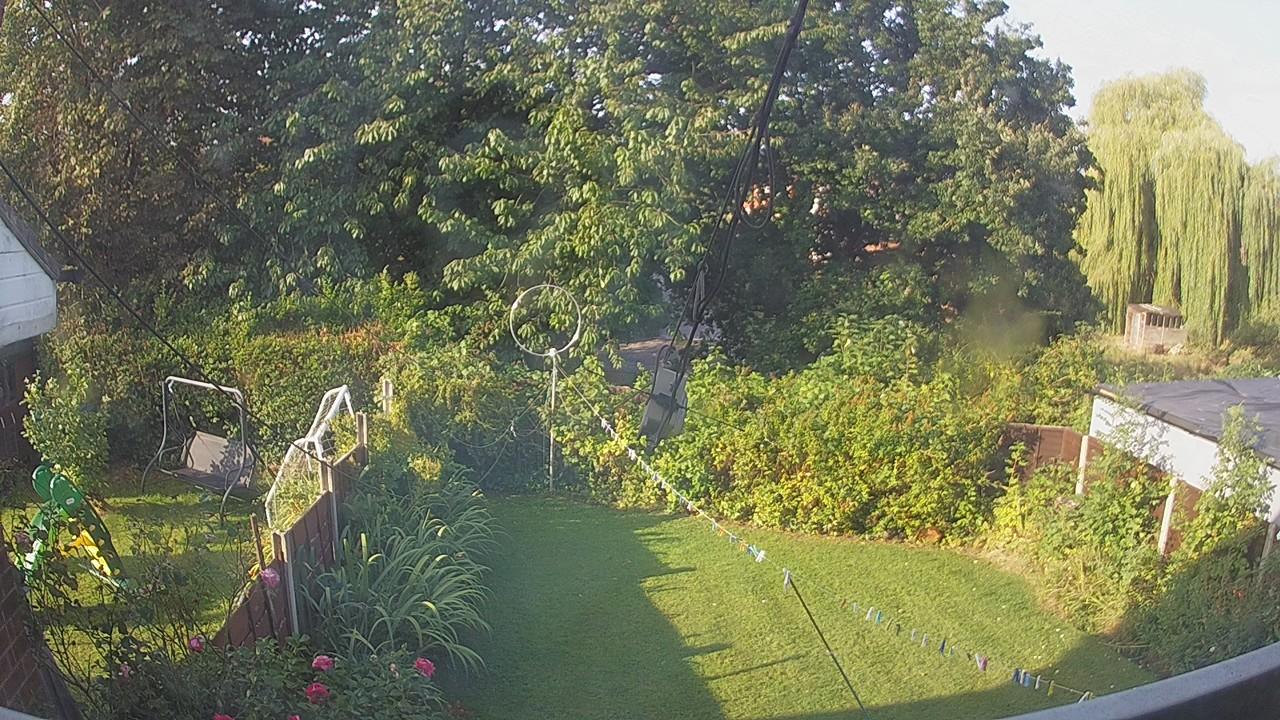 20260823_074015_cam1.jpg