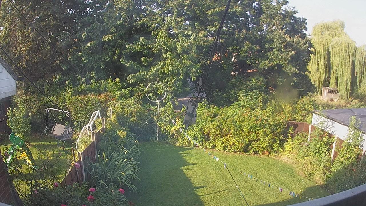 20260823_074451_cam1.jpg