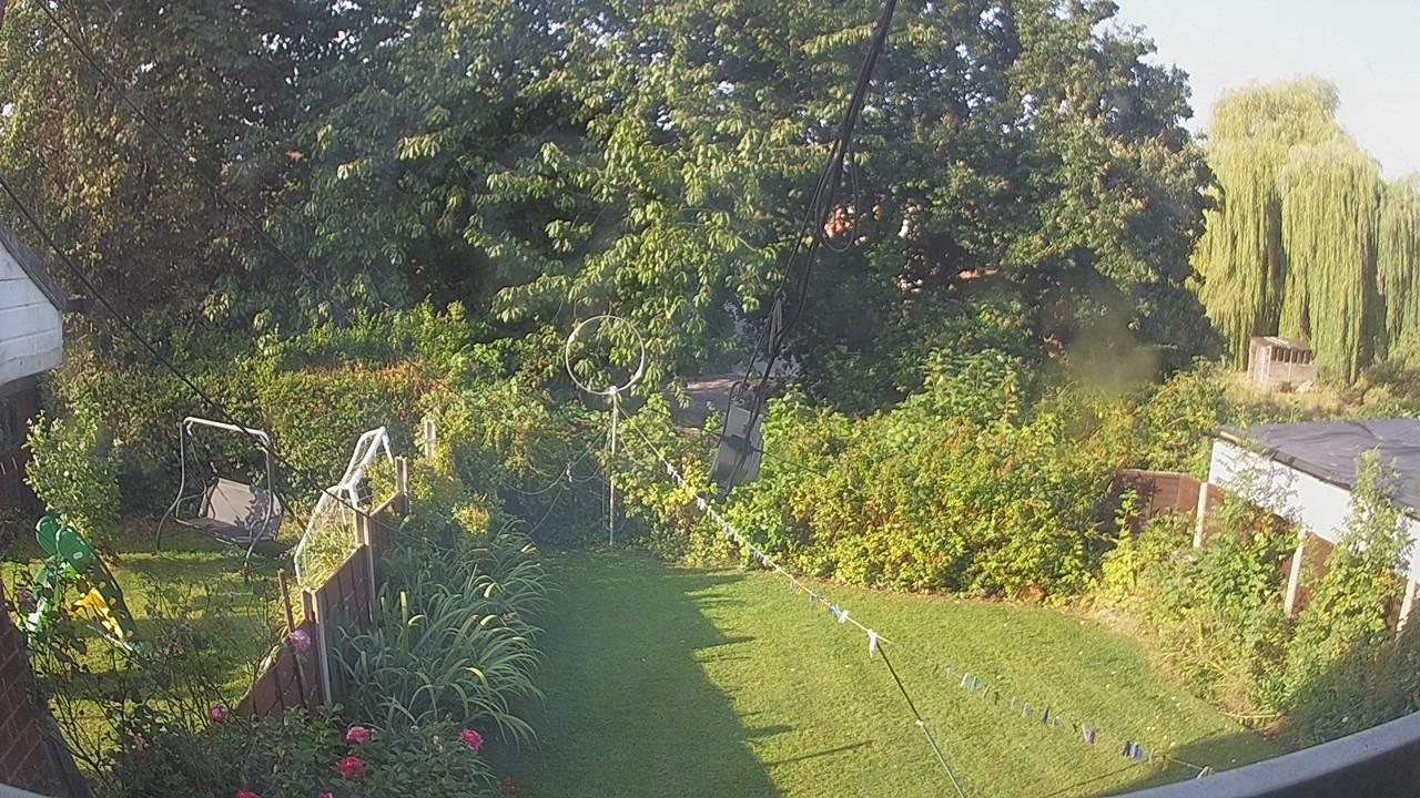 20260823_074927_cam1.jpg