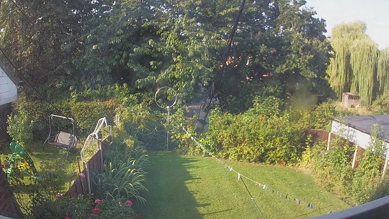 20260823_080307_cam1.jpg