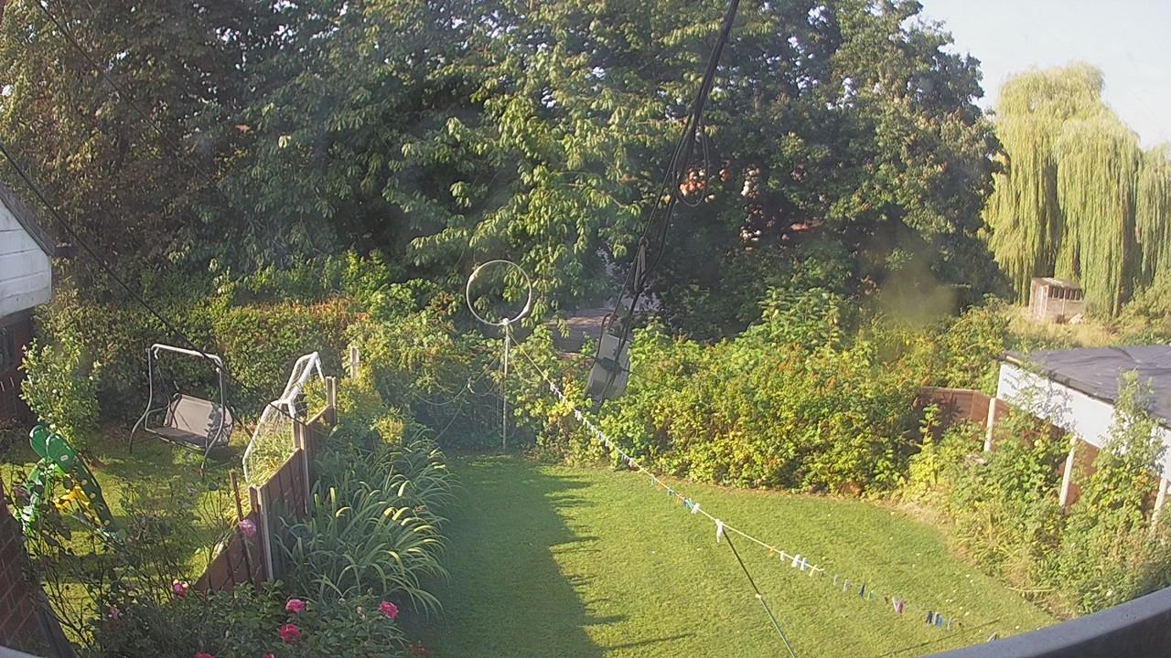 20260823_080733_cam1.jpg