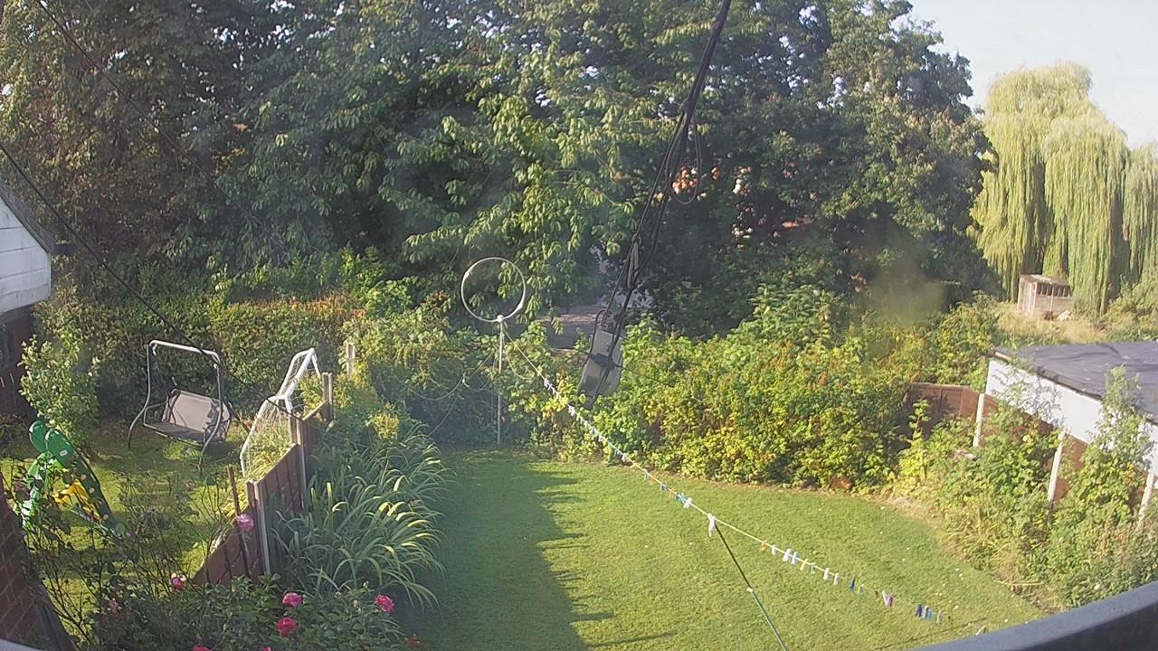 20260823_081200_cam1.jpg